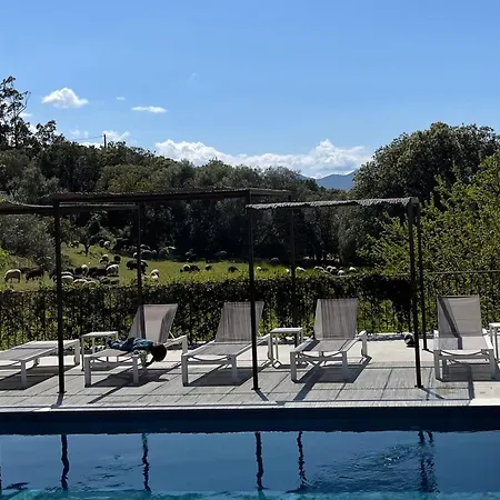 Clos Des Oliviers Villa *