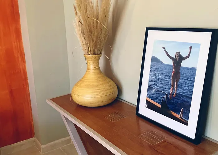 Clos Des Oliviers * Lumio (Corsica)