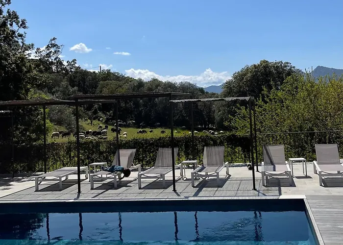 Clos Des Oliviers Villa *